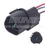 SK-B191